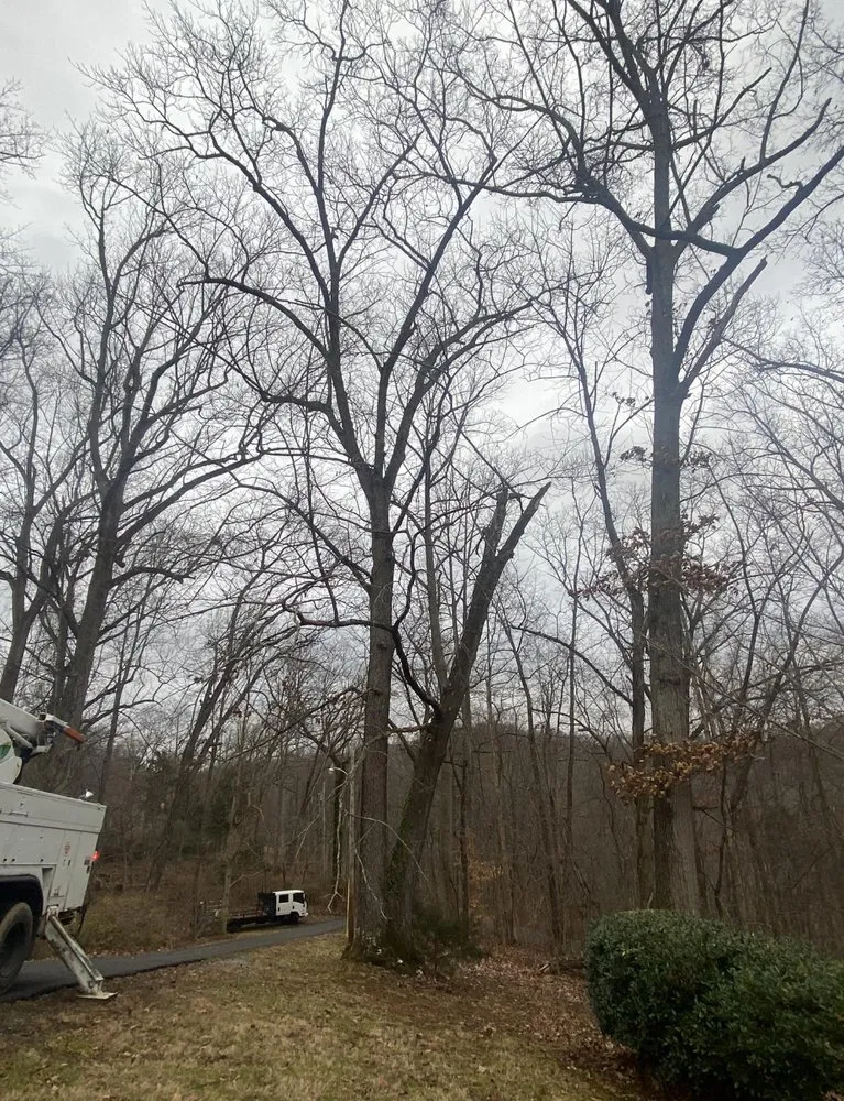 Custom outdoor landscaping in Jonesborough, TN - Rose Lawncare and Landscaping