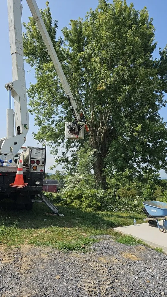 Custom landscape design experts serving Jonesborough, TN - Rose Lawncare and Landscaping