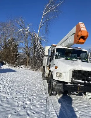 Rose Lawncare and Landscaping Logo