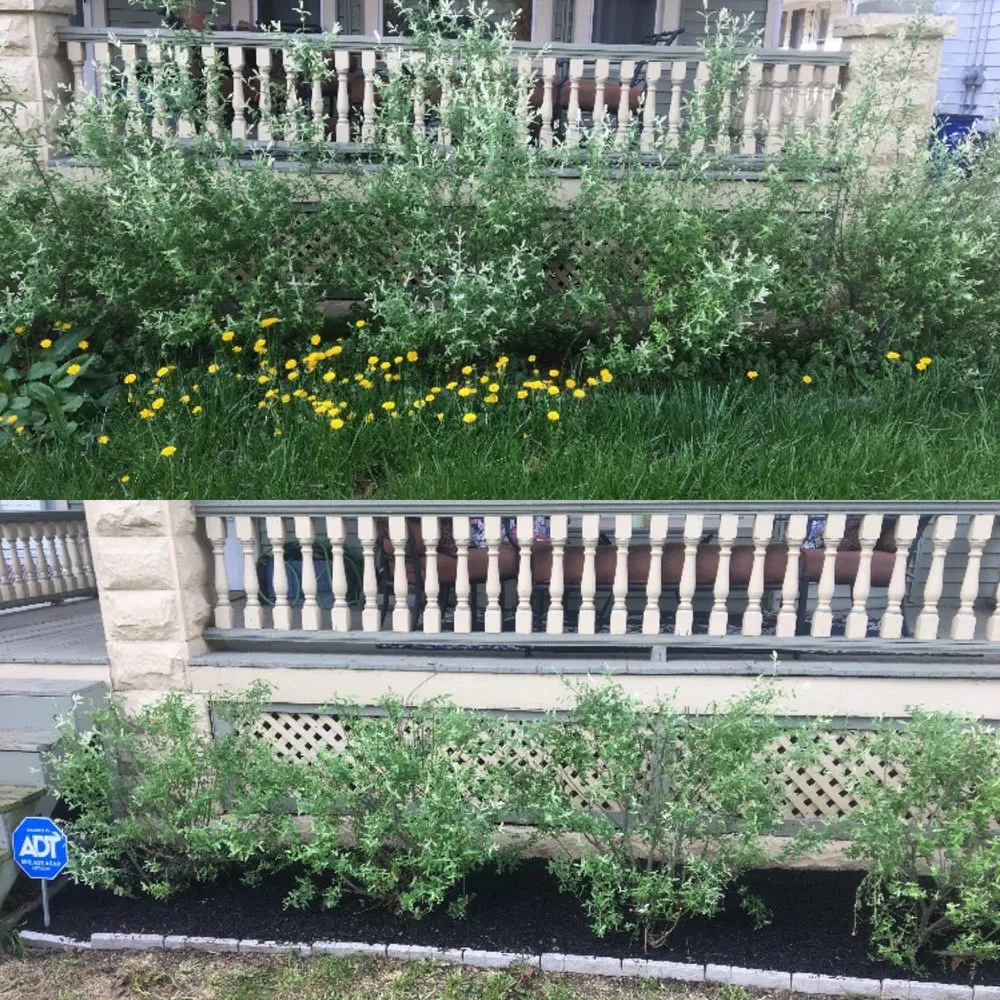 Affordable lawn mowing service in Cleveland, OH by Rose Property Fabrication