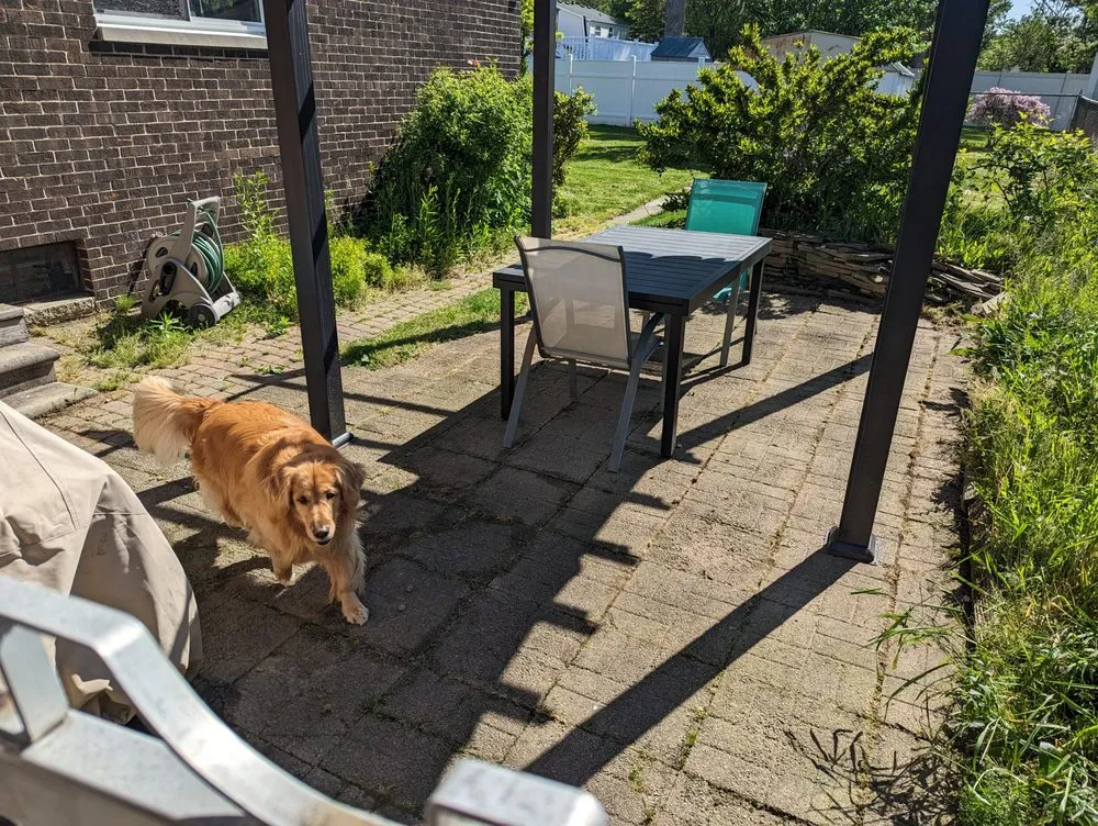 Professional landscape installation for residential properties across Canton, MI - Rose Property Maintenance