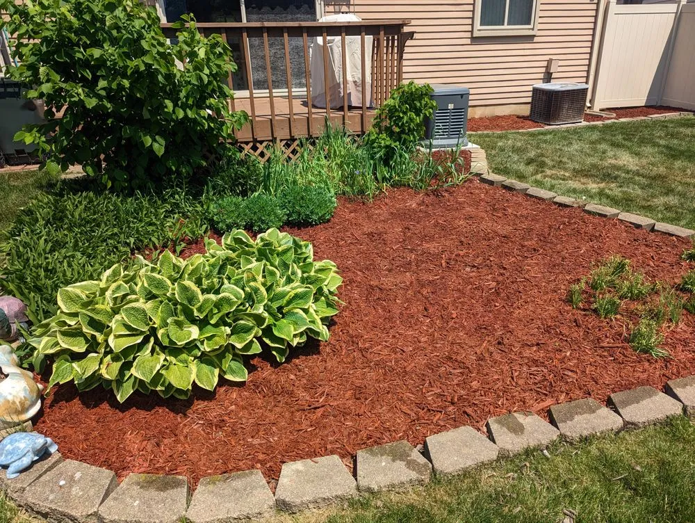 Top-rated yard cleanup service in Canton, MI by Rose Property Maintenance