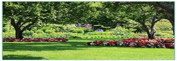 Top-rated outdoor landscaping for residential properties across Shawnee, KS - Rose Property Maintenance