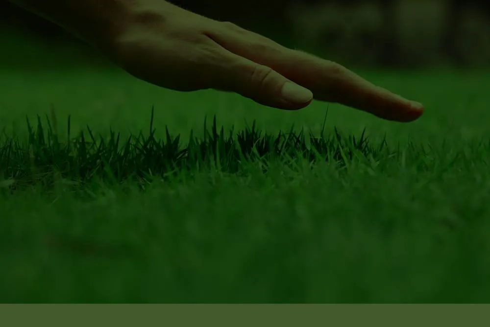 Professional yard maintenance for residential properties across Deltona, FL - Rose Services of Central Florida