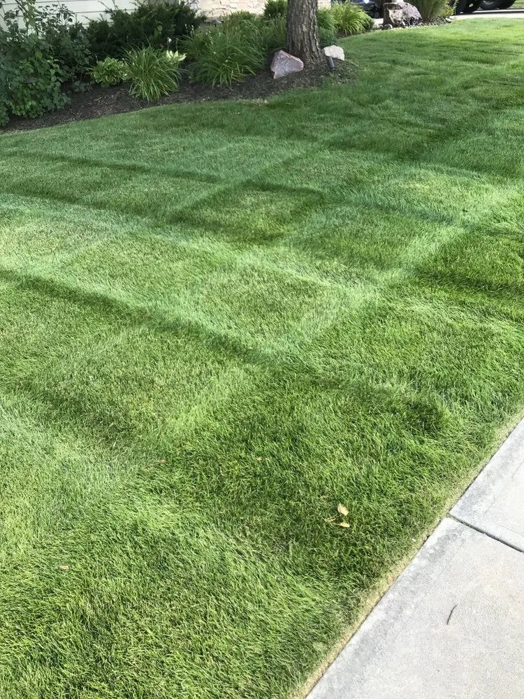 Local residential landscaping for beautiful yards in Gretna, NE by Rose Turf and Grounds