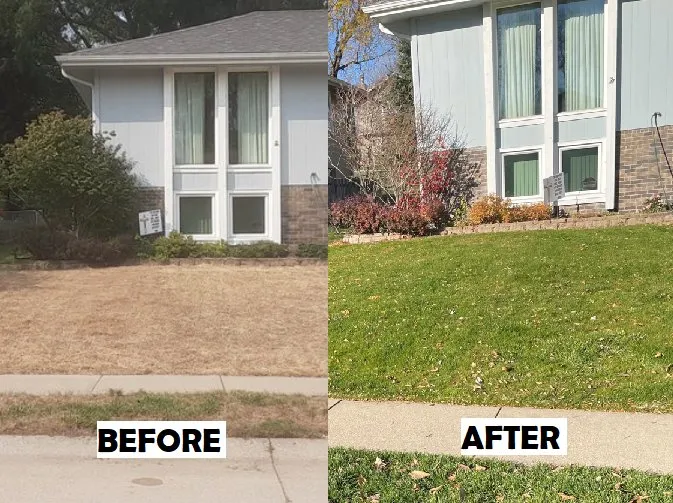 Trusted landscape design experts serving Gretna, NE - Rose Turf and Grounds