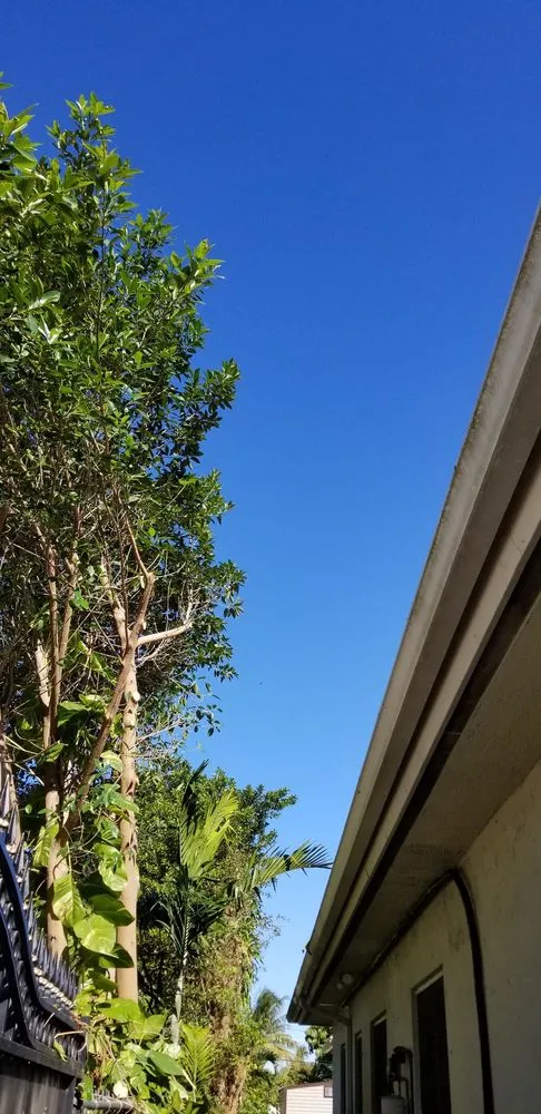 Top-rated residential landscaping for year-round maintenance across Miami, FL - Rose Valley Landscaping