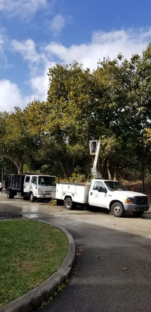 Trusted residential landscaping experts serving Miami, FL - Rose Valley Landscaping