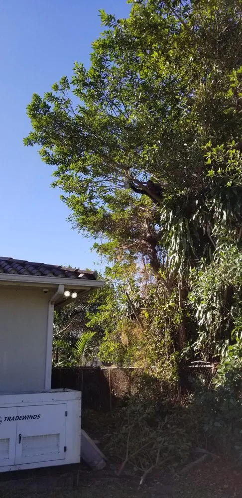 Professional garden landscaping for residential properties in Miami, FL by Rose Valley Landscaping