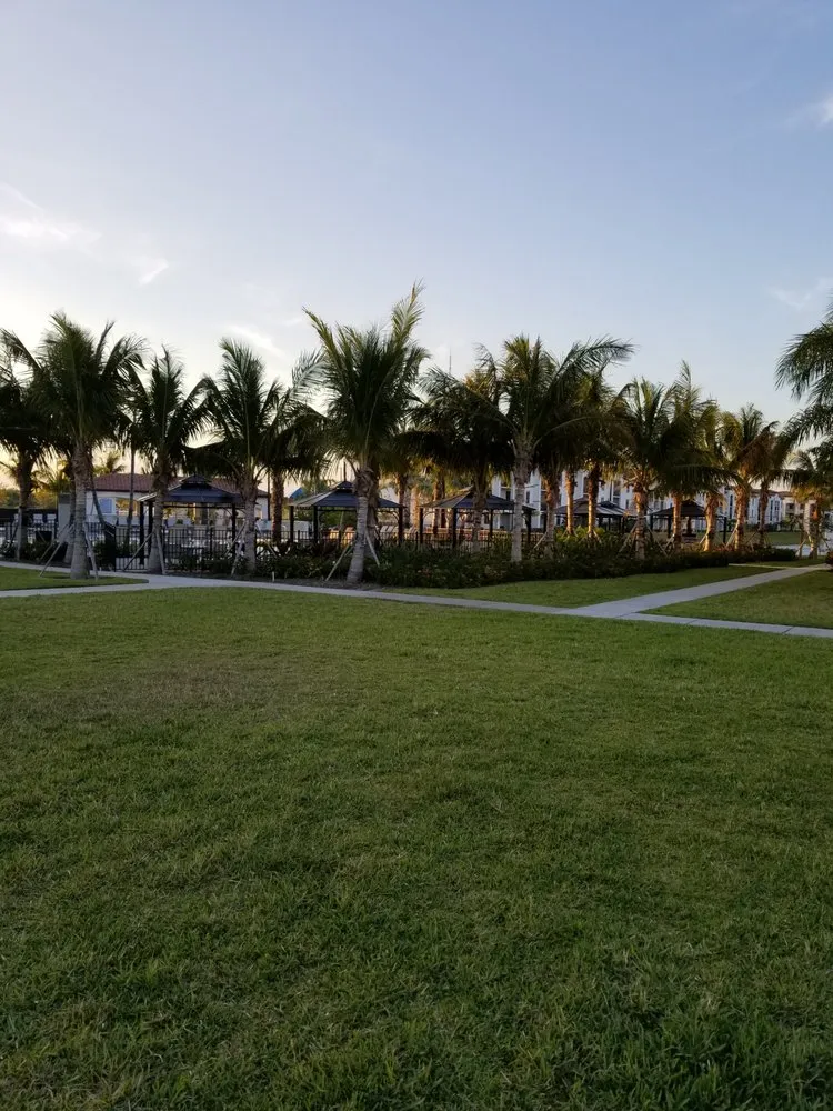 Reliable yard cleanup service in Miami, FL by Rose Valley Landscaping