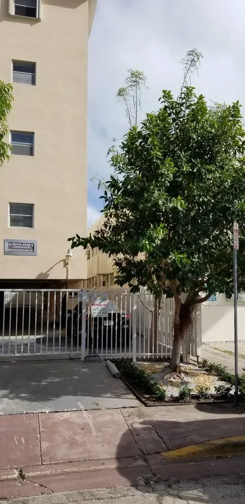 Custom landscaping services in Miami, FL - Rose Valley Landscaping