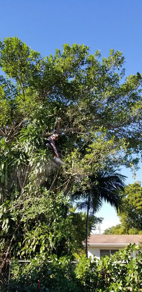 Trusted yard maintenance for beautiful yards in Miami, FL by Rose Valley Landscaping