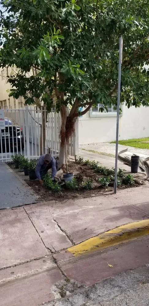 Reliable lawn care service experts serving Miami, FL - Rose Valley Landscaping