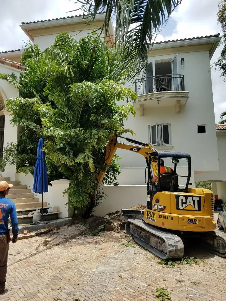 Professional lawn mowing service in Miami, FL by Rose Valley Landscaping