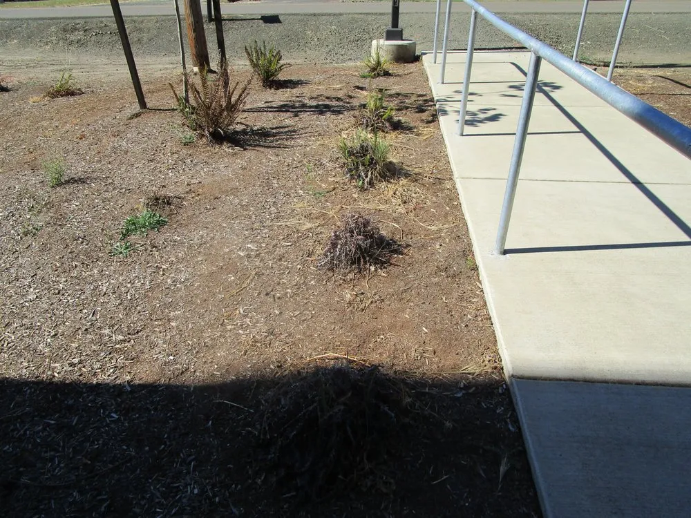 Custom lawn mowing service experts serving Roseburg, OR - Roseburg Landscape Maintenance