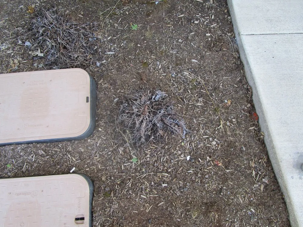 Local landscaping services with custom design across Roseburg, OR - Roseburg Landscape Maintenance