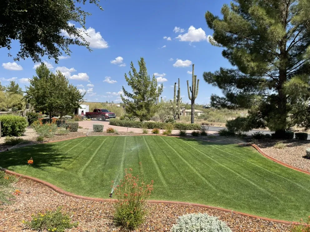 Affordable garden landscaping for outdoor upgrades in Phoenix, AZ by Rosecape & Maintenance