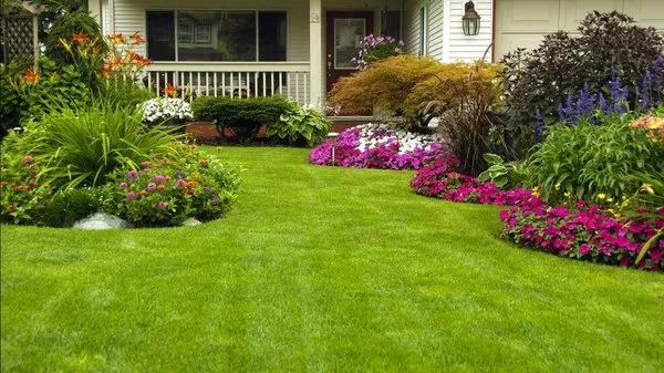 Rosedale Cleaning And Mowing Service