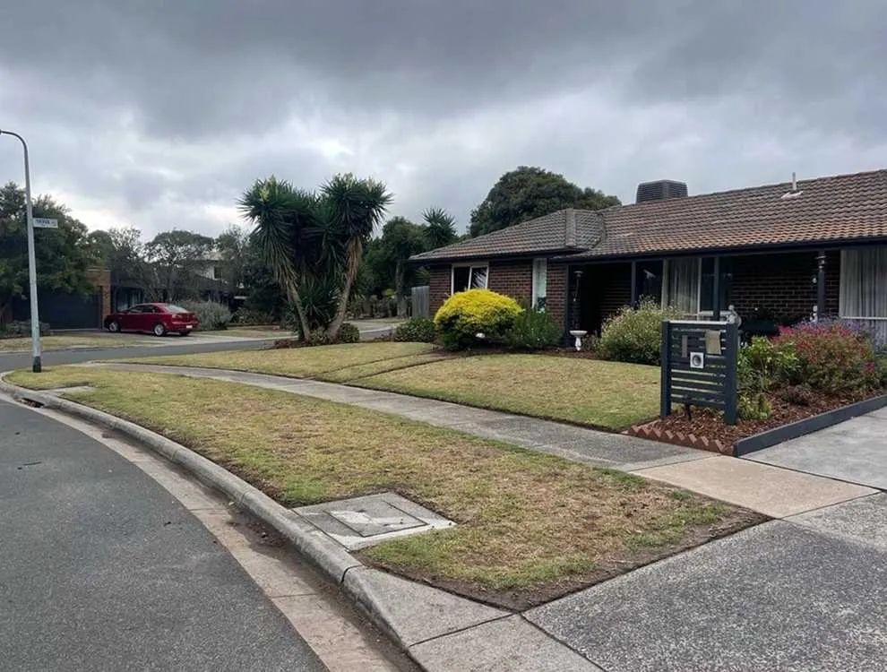 Expert lawn care service with custom design in Austin, TX by Rosedale Lawn Services