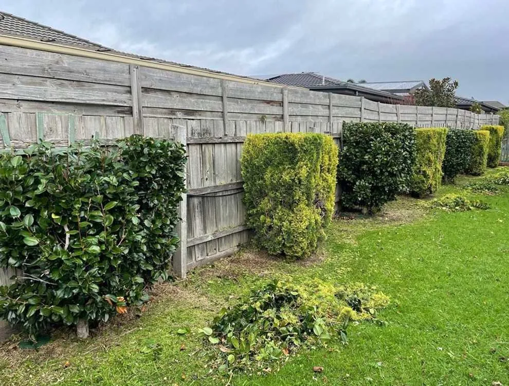 Custom outdoor landscaping experts serving Austin, TX - Rosedale Lawn Services