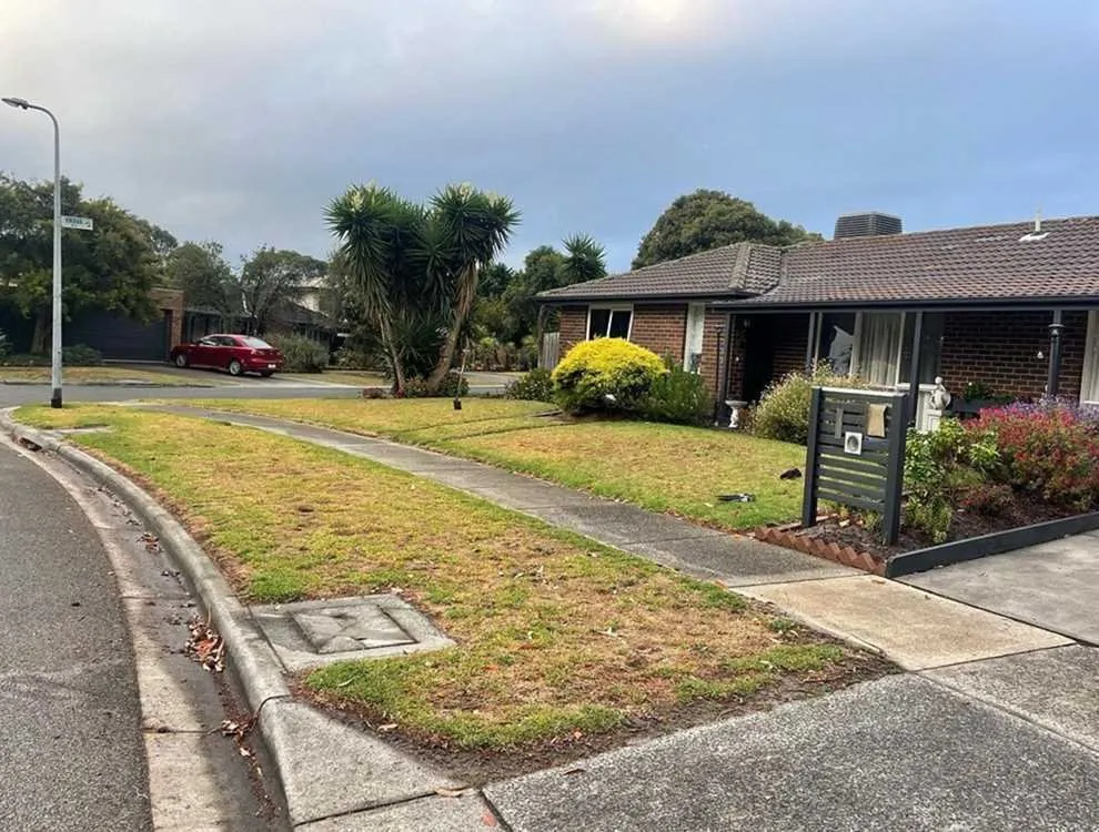 Top-rated lawn mowing service in Austin, TX - Rosedale Lawn Services