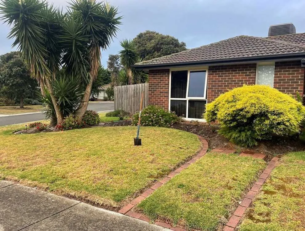 Trusted yard cleanup service for residential properties across Austin, TX - Rosedale Lawn Services