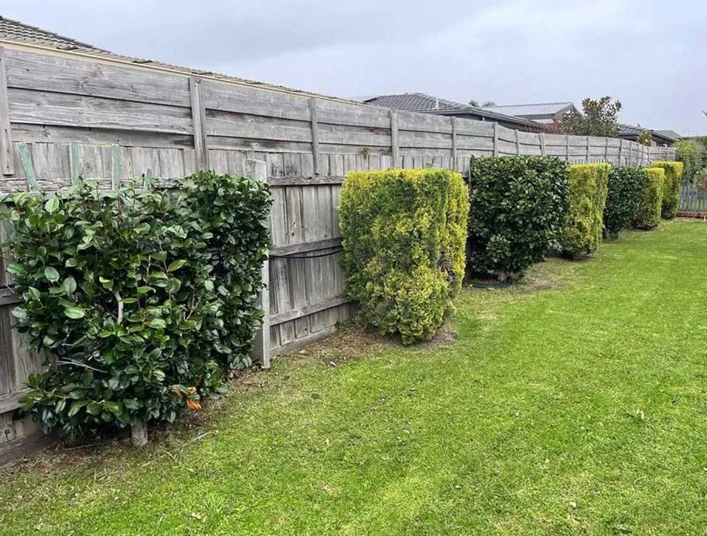 Expert outdoor landscaping for residential properties across Austin, TX - Rosedale Lawn Services