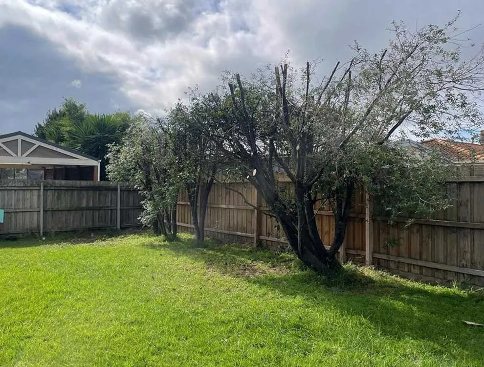 Professional landscape installation for year-round maintenance across Austin, TX - Rosedale Lawn Services