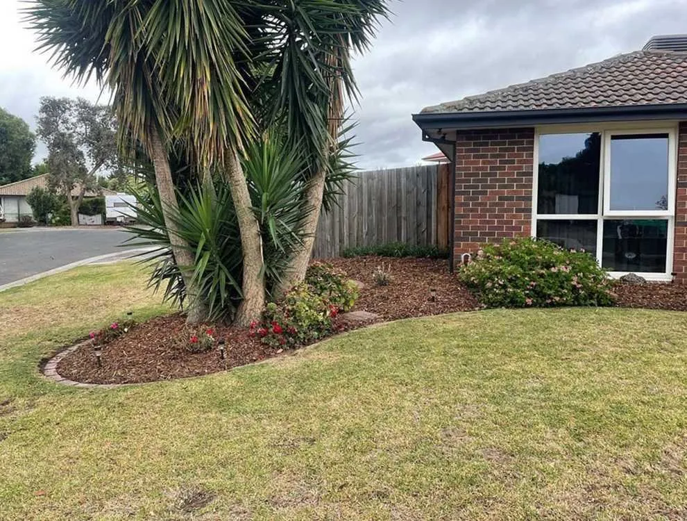 Professional lawn care service in Austin, TX by Rosedale Lawn Services