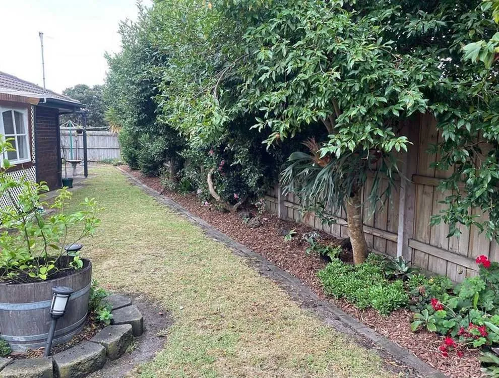 Trusted yard maintenance in Austin, TX - Rosedale Lawn Services