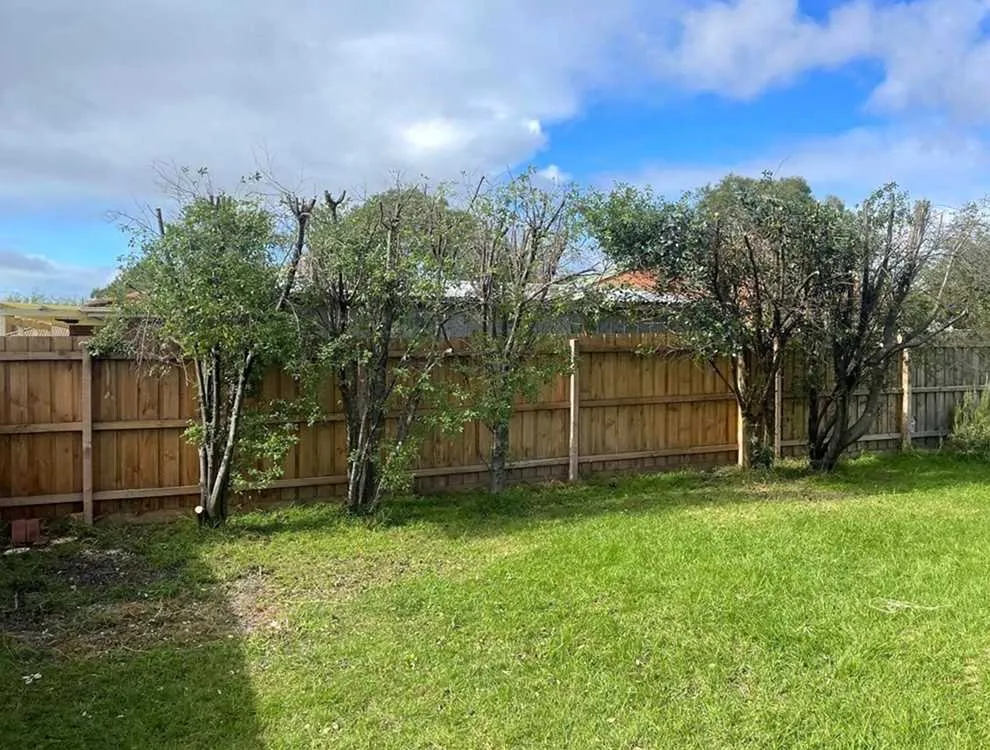 Local landscape installation near you in Austin, TX by Rosedale Lawn Services