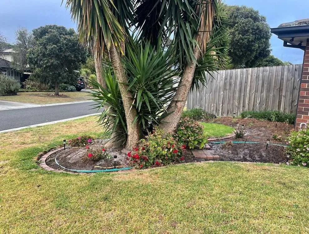 Local landscape installation in Austin, TX by Rosedale Lawn Services