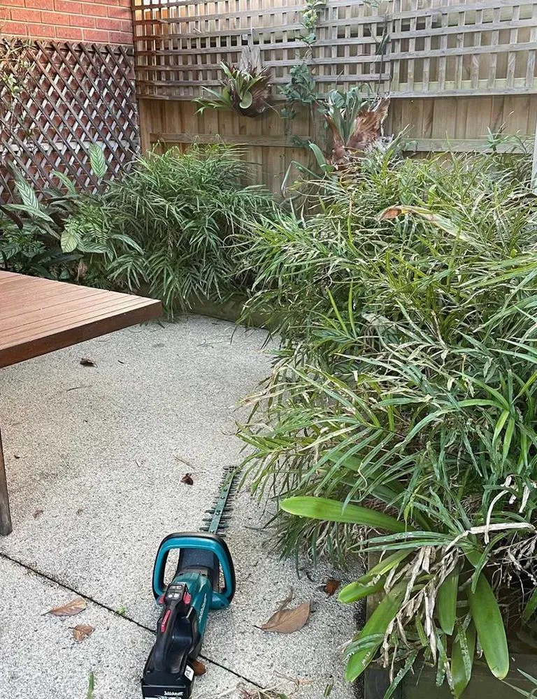 Expert garden landscaping in Austin, TX by Rosedale Lawn Services
