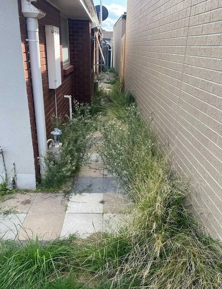 Custom landscaping services for residential properties across Austin, TX - Rosedale Lawn Services