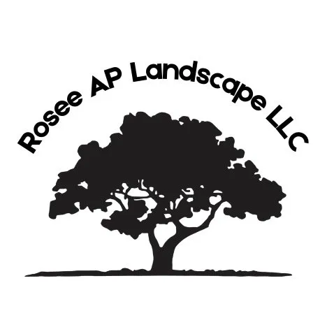Custom landscaping services for year-round maintenance in Douglasville, GA by Rosee AP Landscape