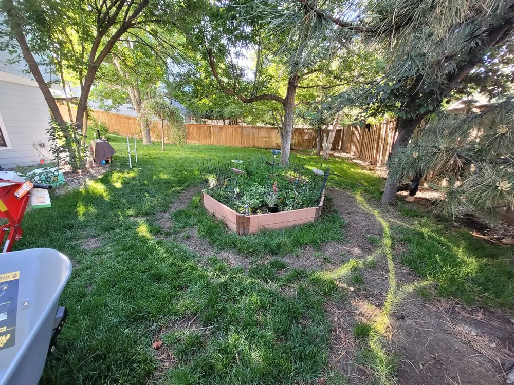 Trusted lawn mowing service in Arvada, CO - Rosegold Landscaping