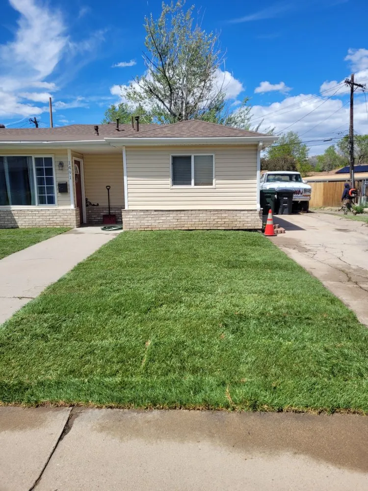 Expert outdoor landscaping near you in Arvada, CO by Rosegold Landscaping