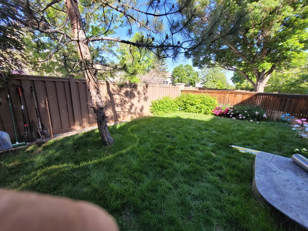 Top-rated landscape installation in Arvada, CO by Rosegold Landscaping