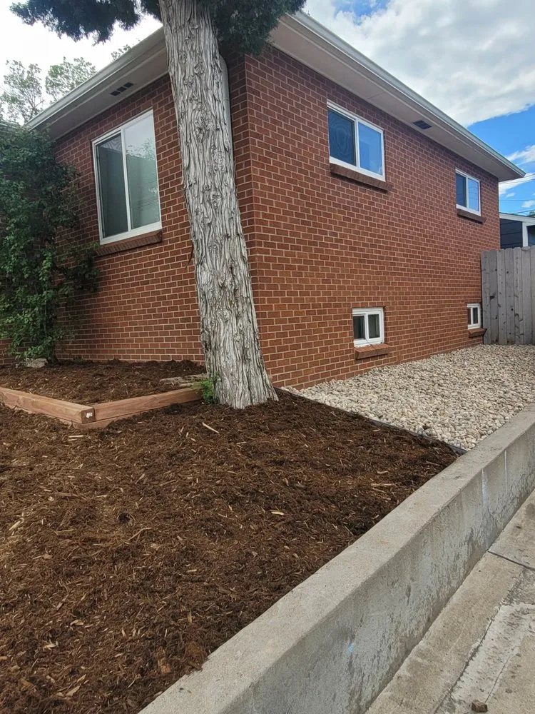 Top-rated yard maintenance in Arvada, CO - Rosegold Landscaping