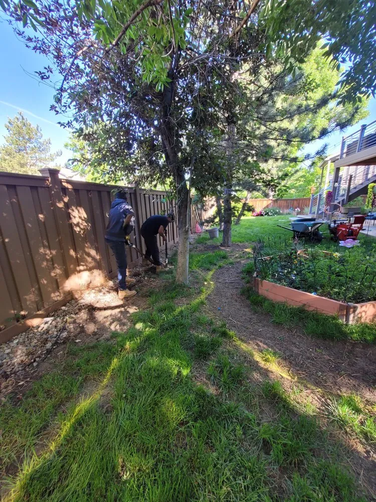 Professional garden landscaping for homes in Arvada, CO by Rosegold Landscaping