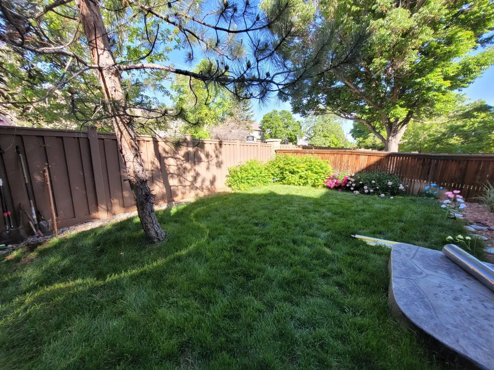 Custom lawn mowing service in Arvada, CO - Rosegold Landscaping