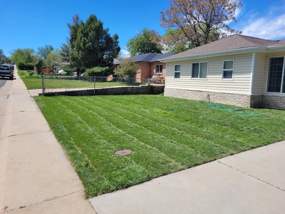 Local landscape installation in Arvada, CO - Rosegold Landscaping