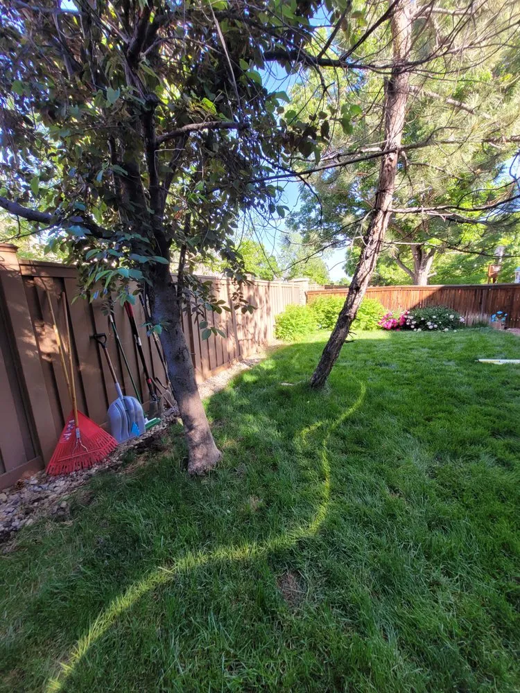 Reliable landscaping services in Arvada, CO by Rosegold Landscaping
