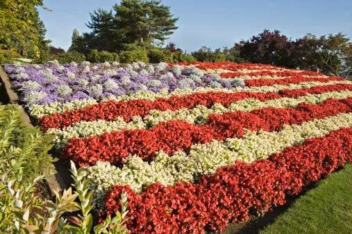 Reliable yard maintenance for homes in Kansas City, MO by Rosehill Gardens