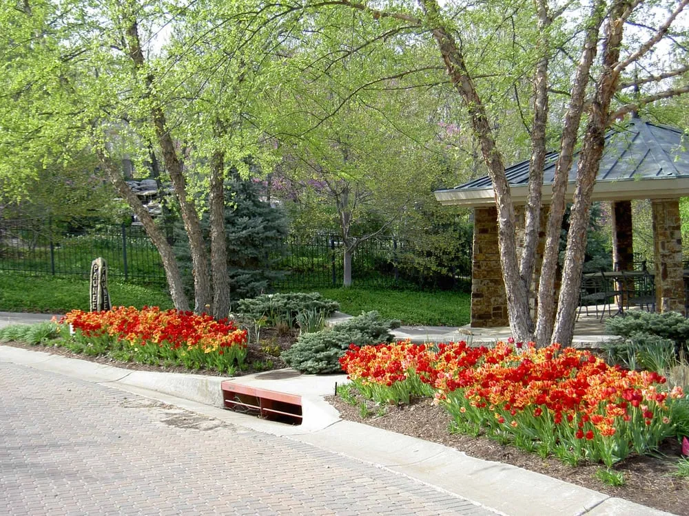 Trusted landscape installation with custom design in Kansas City, MO by Rosehill Gardens