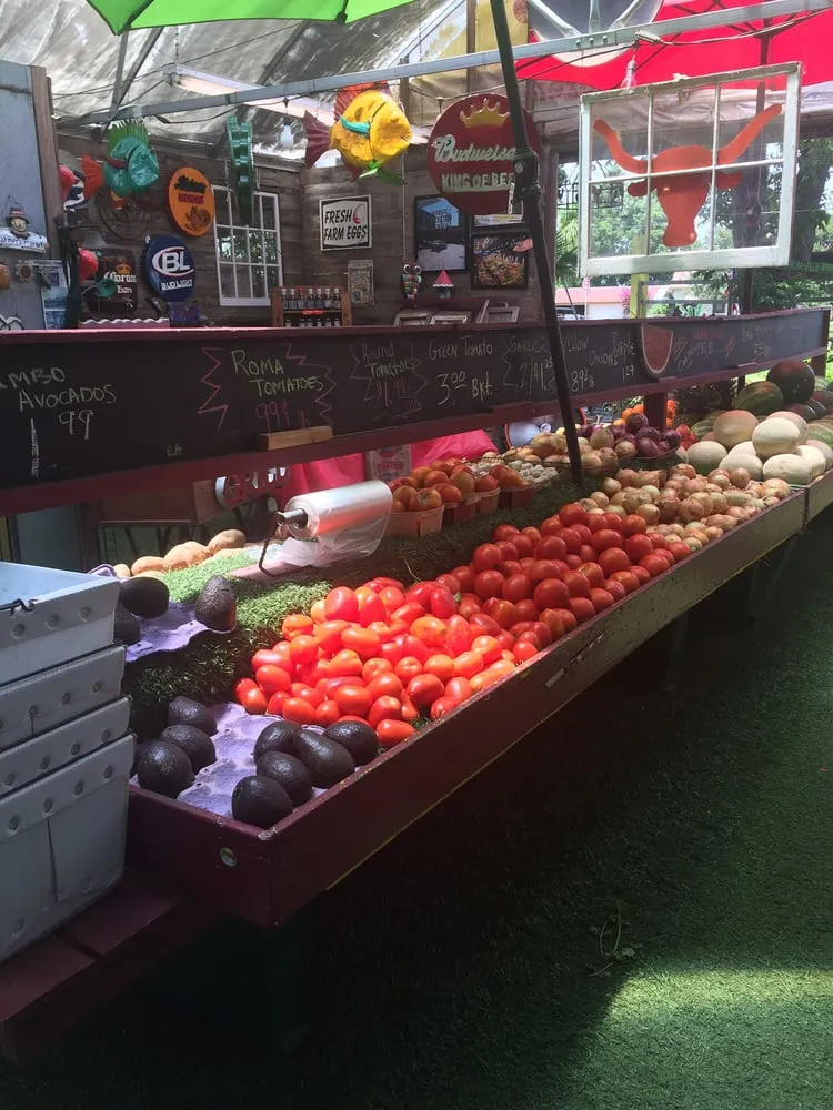 Top-rated landscape installation with custom design in Tomball, TX by Rosehill Palms Landscaping & Garden Center