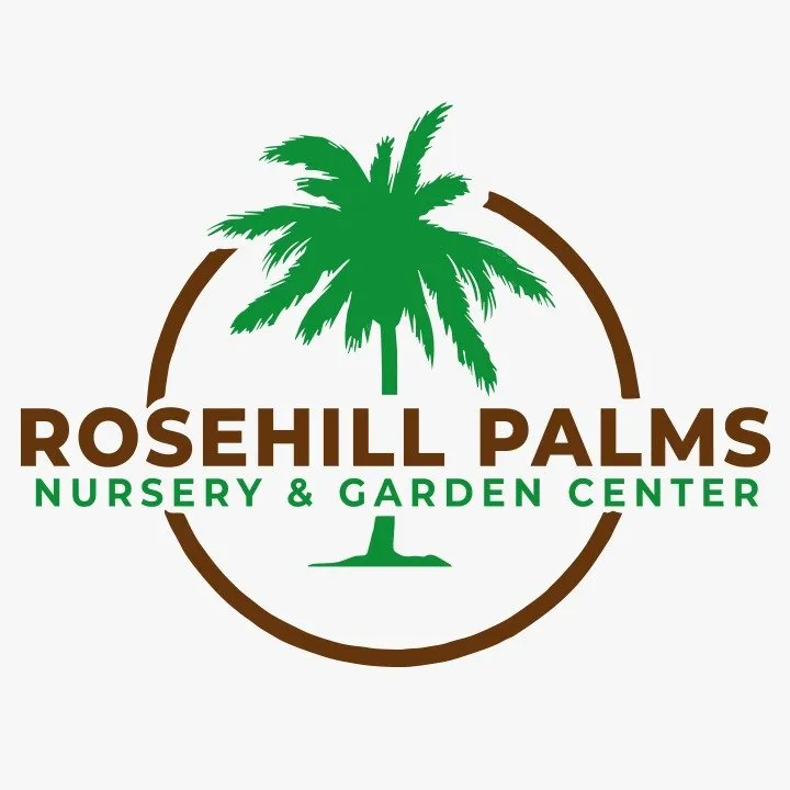 Affordable yard cleanup service in Tomball, TX by Rosehill Palms Landscaping & Garden Center