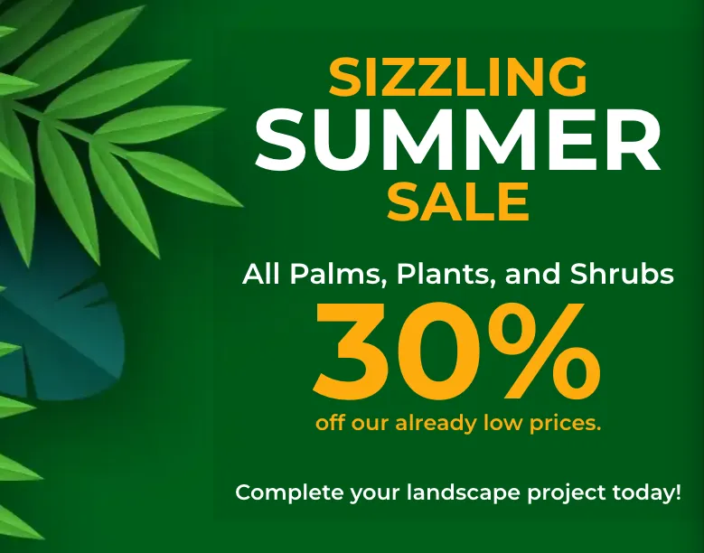 Reliable yard maintenance experts serving Tomball, TX - Rosehill Palms Landscaping & Garden Center