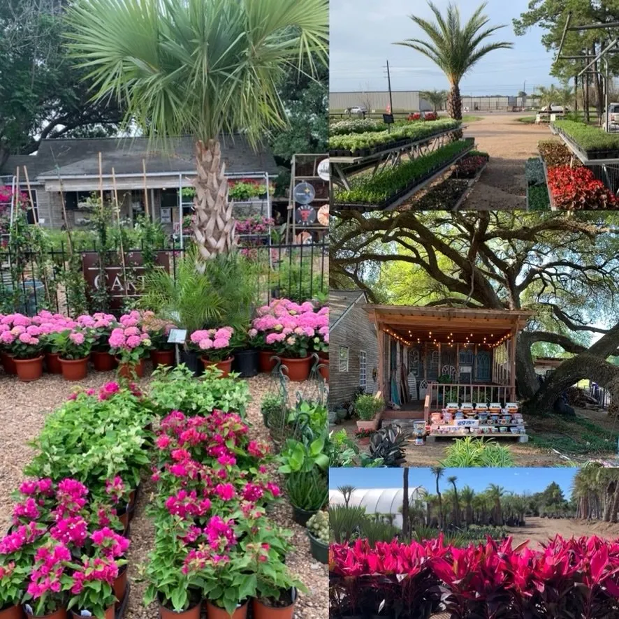 Affordable landscaping services experts serving Tomball, TX - Rosehill Palms Landscaping & Garden Center