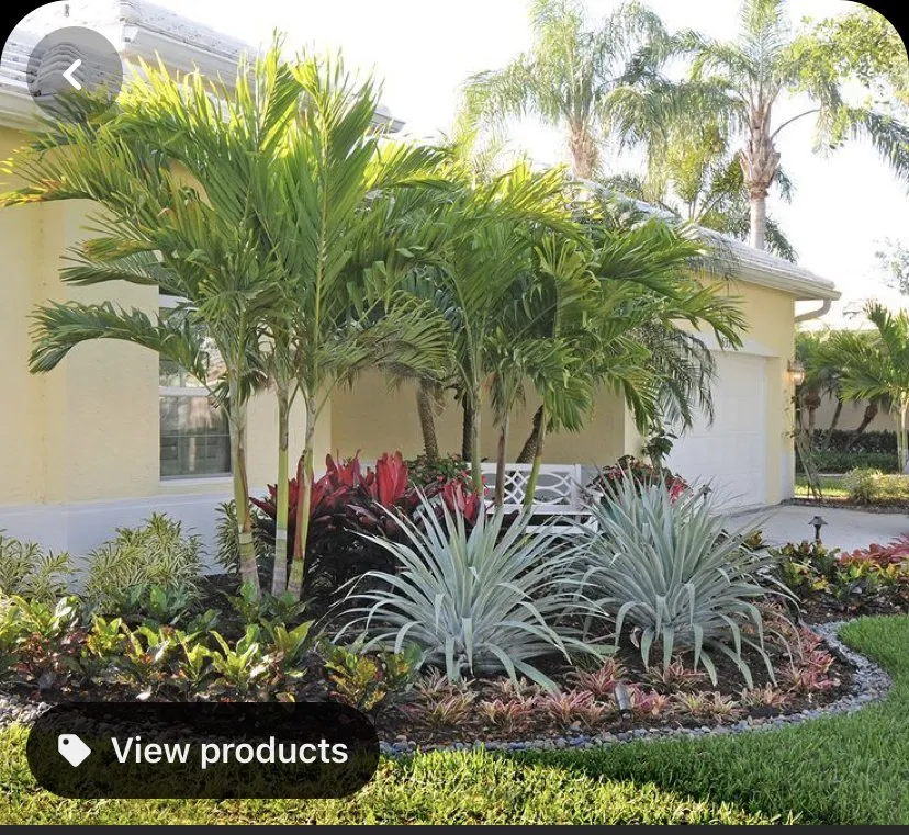 Affordable lawn care service for year-round maintenance in Melbourne, FL by Roseman's Lawn Care